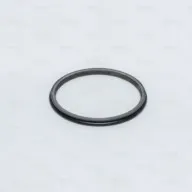 Spicer + Axle + Seals And Piston Rings + Seal - Face + S20HH167_SP + online