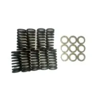 SVL + Clutch + Spring kit + 280 dia Spring Kit + VCSK0280 + buy